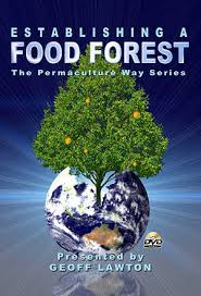 Movie Time – Food Forest 101 at the Sustainble Food Center!