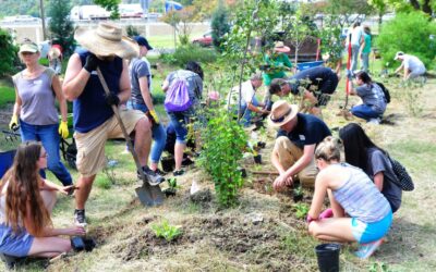 Our First Free Permaculture Course + Planting Day Was a Great Success