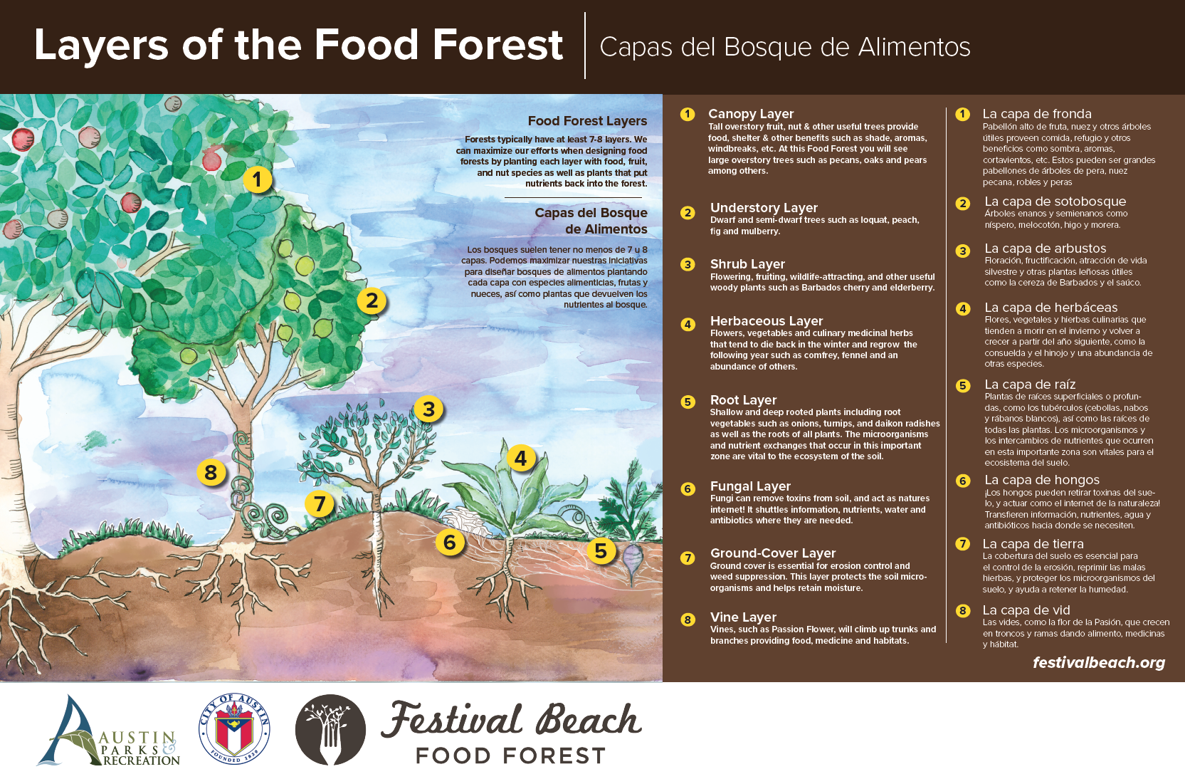 Layers of the Food Forest