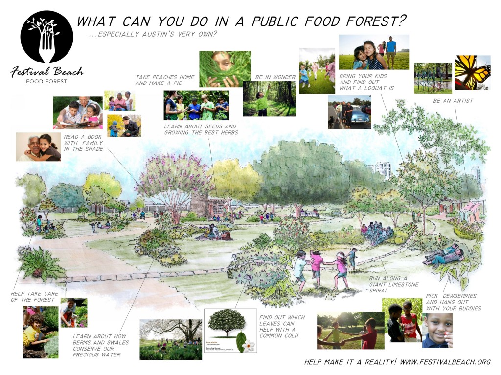 What you can do in a public food forest